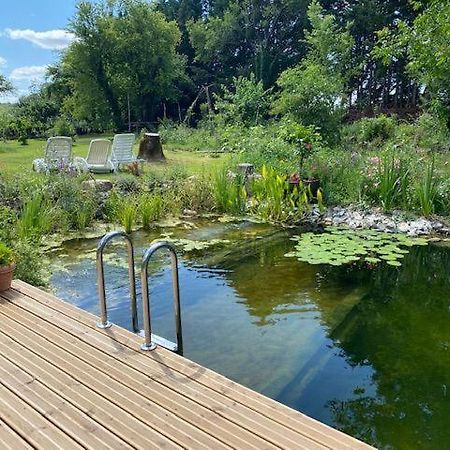 Le Moulin Scalagrand Bed & Breakfast Mazieres  Екстериор снимка