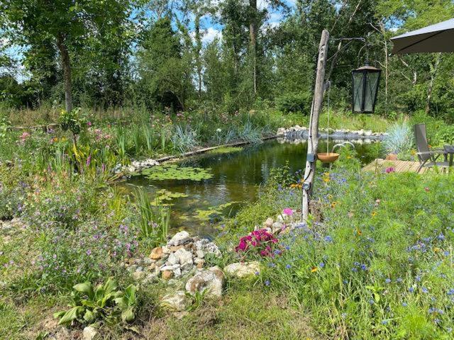 Le Moulin Scalagrand Bed & Breakfast Mazieres  Екстериор снимка
